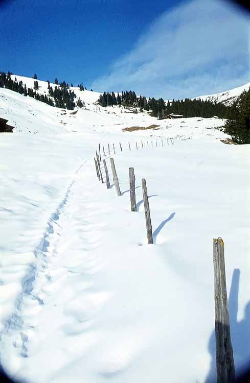 Königsleiten am 31.01.1971