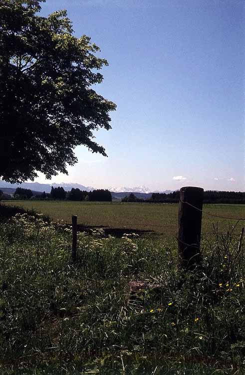 Ammergauer Kreuzspitze am 03.06.1972