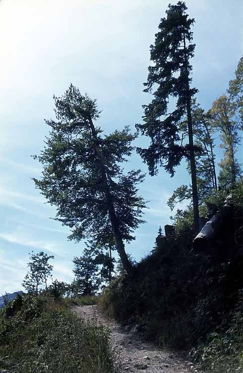 Klammspitze am 11.09.1976