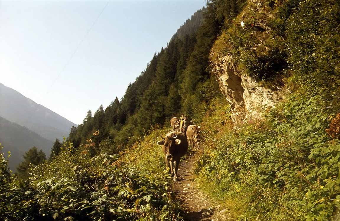 Steinalm am 11.09.1979