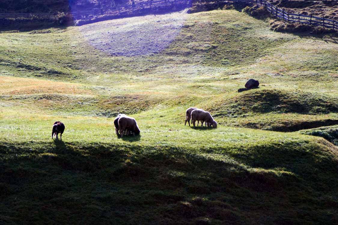 Breslauer Hütte am 24.09.2009