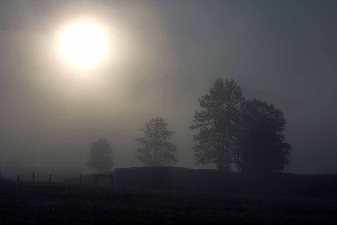 Eckbauer am 22.08.2013