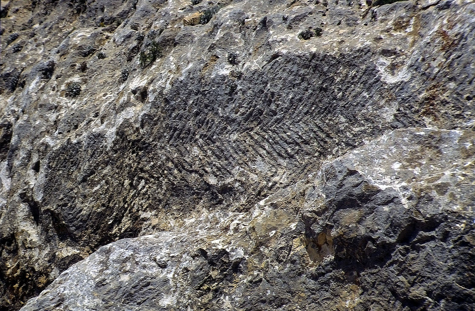 30.04.1993 | Alahan | Alahan Klosteranlage