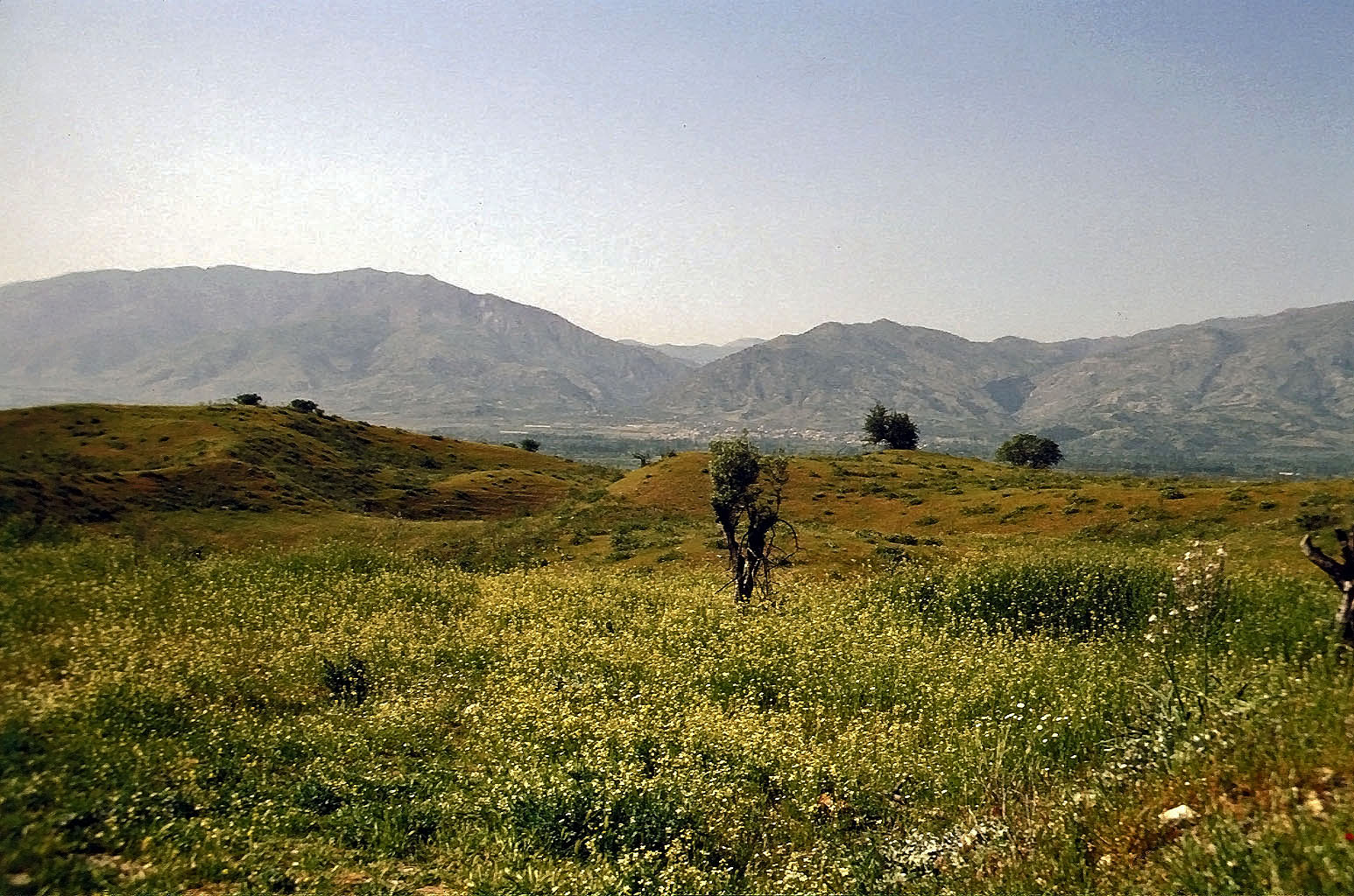 26.04.1993 | bei Karacasu | Blick ins Mäandertal