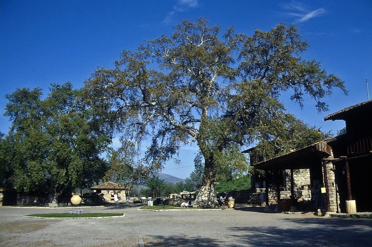 26.04.1993 | Aphrodisias | Eingang