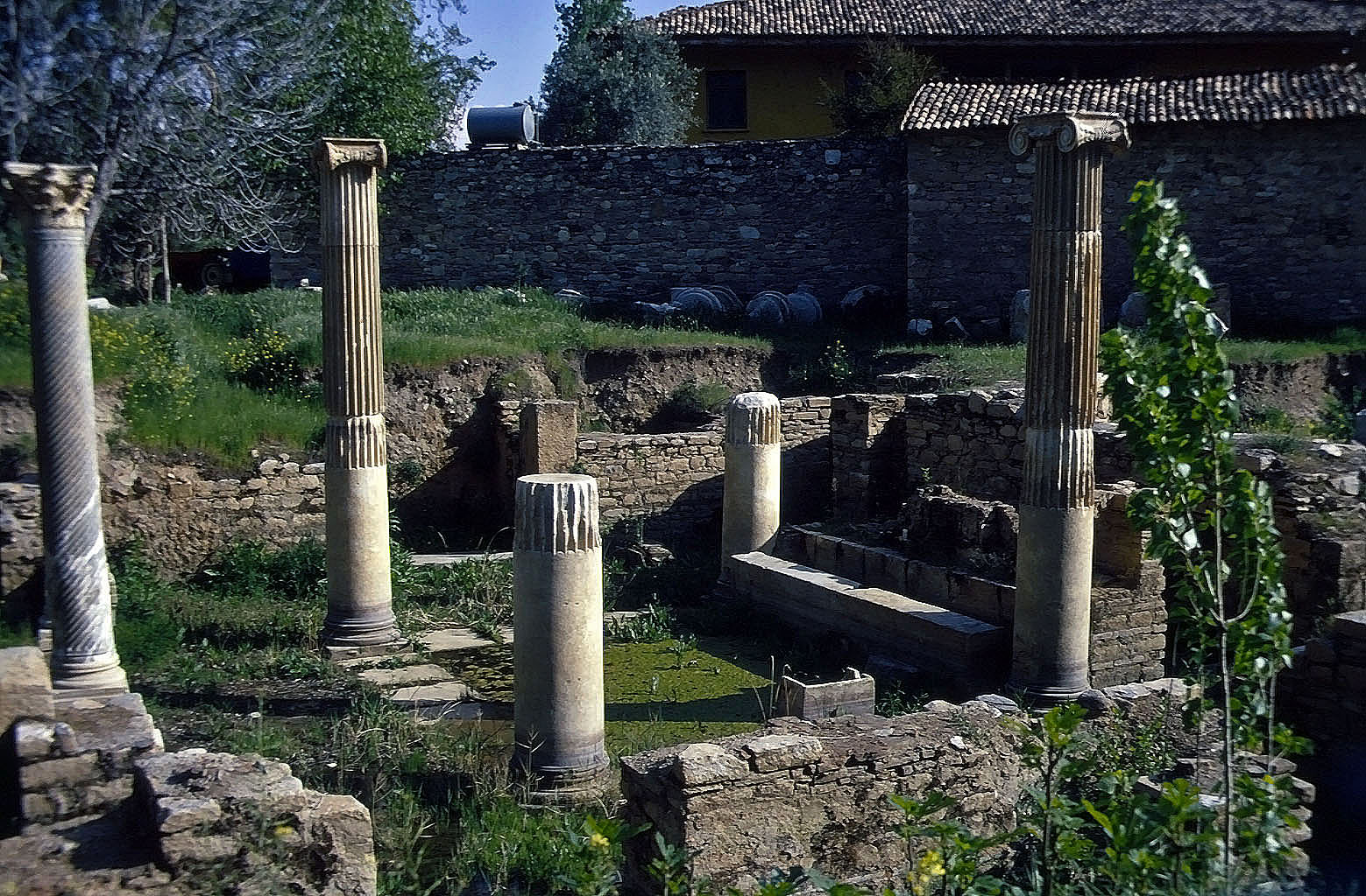 26.04.1993 | Bibliothek | Bibliotheksruinen