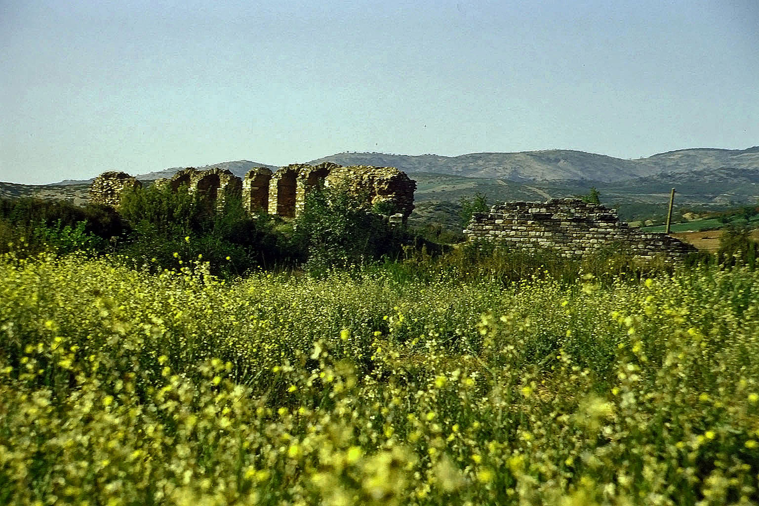 26.04.1993 | Stadion   | Stadiontor