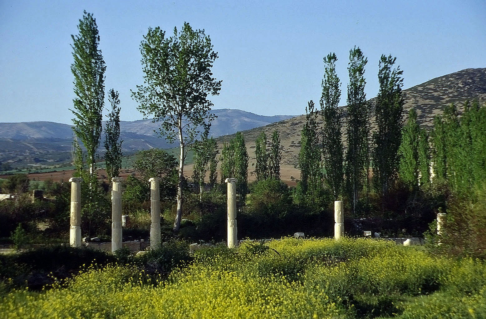 26.04.1993 | Südagora | Südagora Säulenreihen im Ostteil