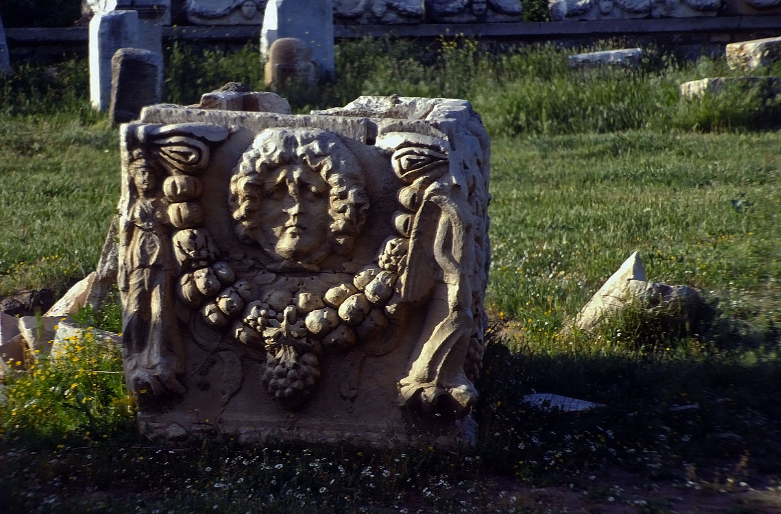26.04.1993 | Museum | reich geschmückter Sarkophag