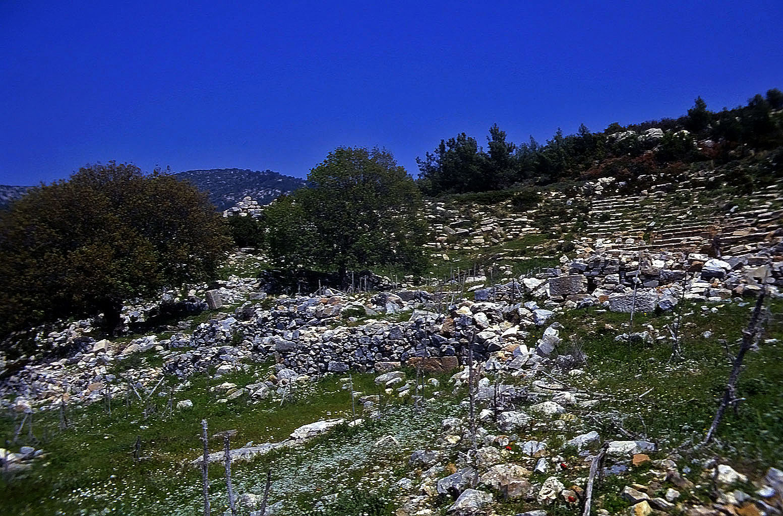 25.04.1993 | Theater | zerstörte Sitzreihen von unten