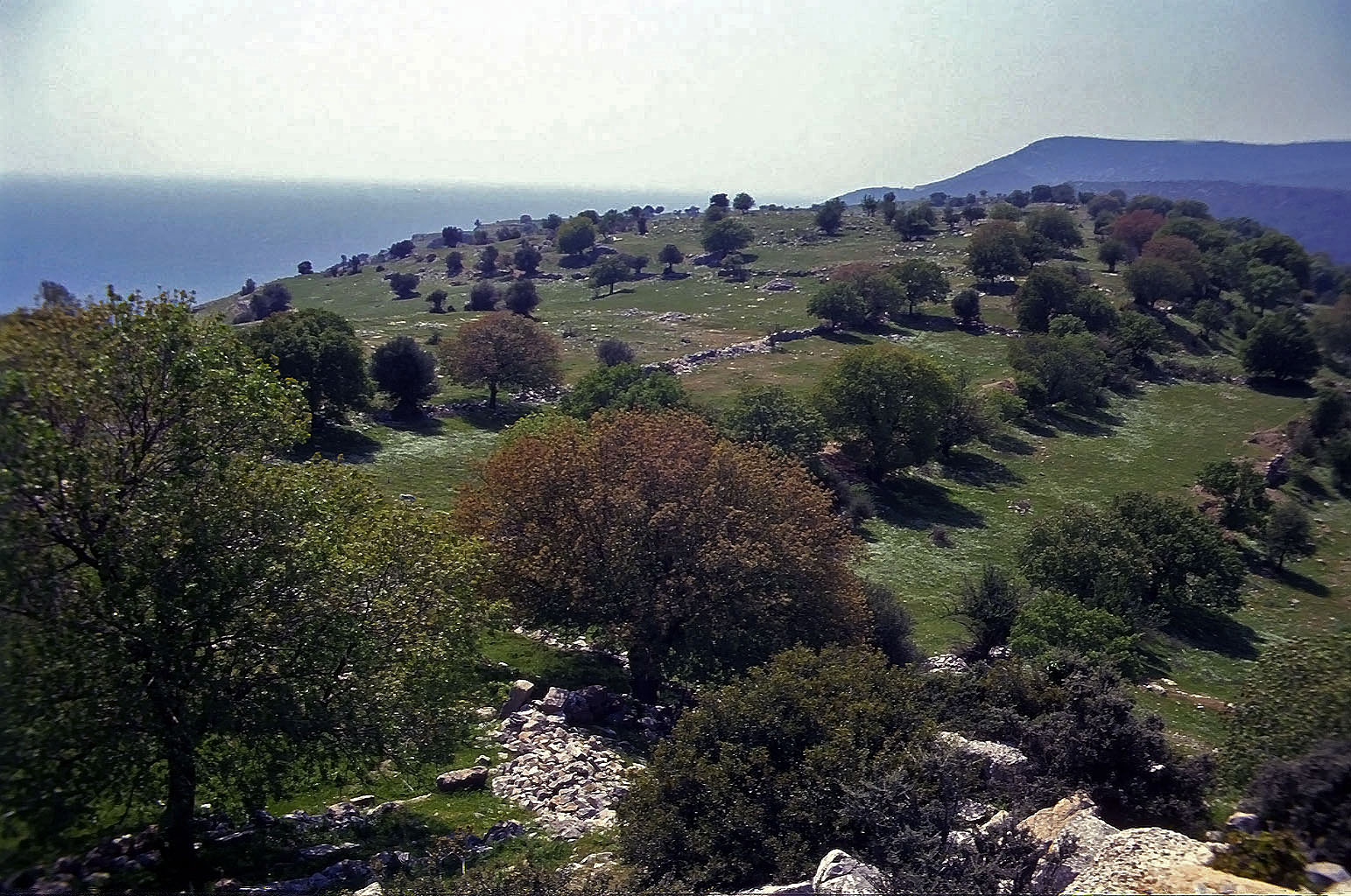 25.04.1993 | Theater | Stadtgebiet mit Agora und Tempelbezirk