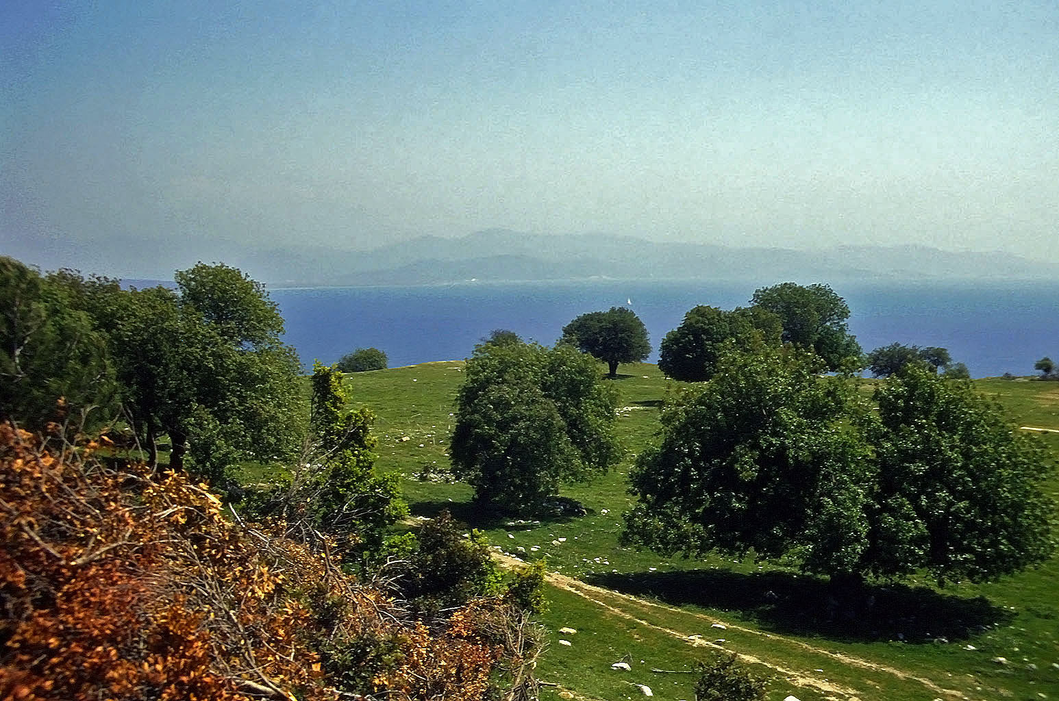25.04.1993 | Stadtmauer | Ostagora