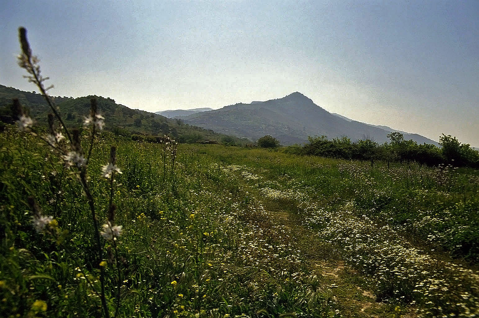 25.04.1993 | Notion | Landschaftsbild in der Umgebung